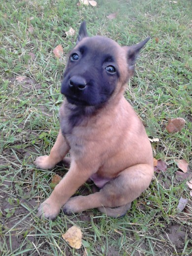 1 mes y medio recién adoptada